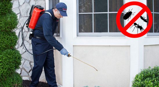 Reyhanlı Gümüşkurt İlaçlama böcek ilaçlama ve haşere kontrolü — ilaclama-tr.com